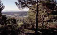 Accueil_Image_3