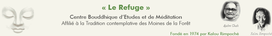 Site en développement